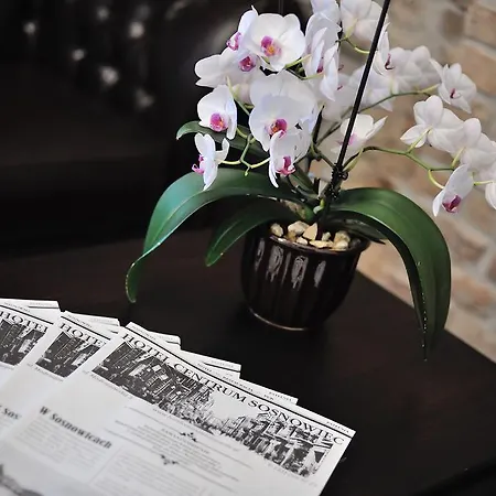 酒店 索斯诺维茨中心酒店 3*